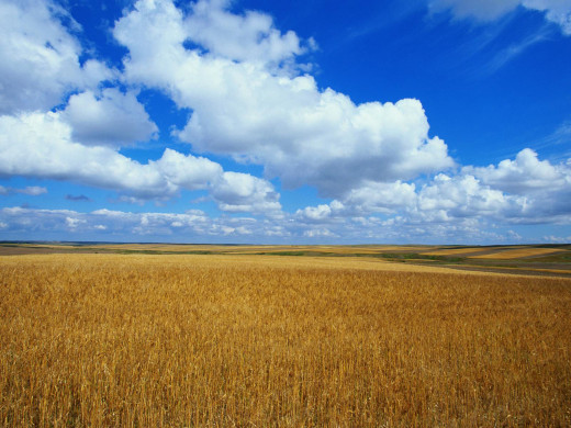 380687 (a): :1600x1200